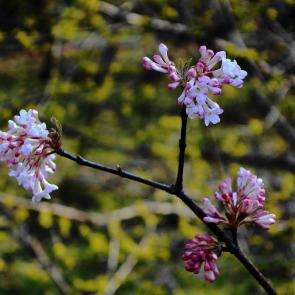 ����: �������� �������� ������