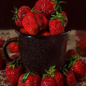 ���� ��������: ���������� ����������. 