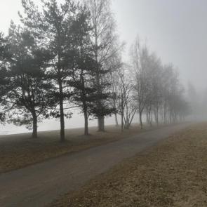 ���� ��������: ���� ��������