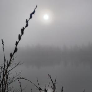 ���� ��������: 