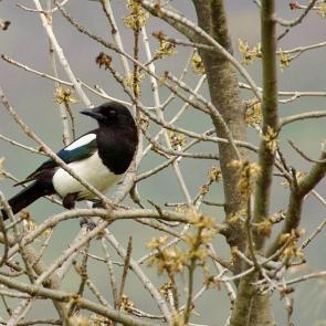 ����: ������ �� ������