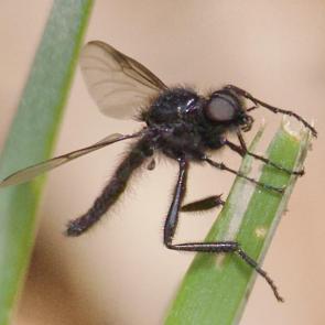 ����: ���� ��������