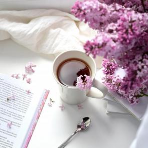 ���� ��������: 