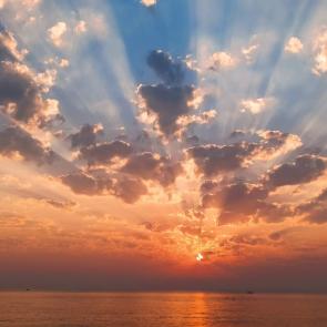 ���� ��������: 