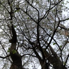 ����: �������� ���� � ����� �������