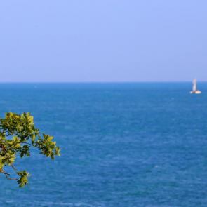 ���� ��������: ������ ����� ��������. 