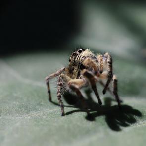 ���� ��������: ���� ��� �� ���� ��� � ��� ������.