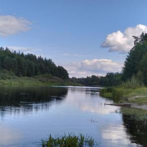 ����: ������������� ������� 