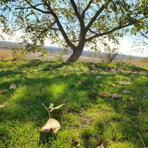 ���� ��������: ������ ����� 