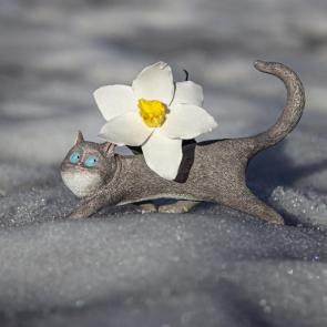 ����: 
