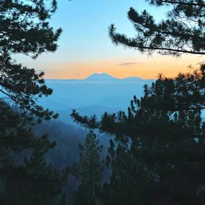 ���� ��������: ������� 