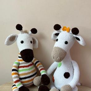 ���� ��������: ��� ������