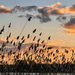 ���� ��������: ����� �� ���� ������