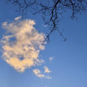 ���� ��������: ���������� �� �����