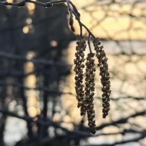 ����: ������ ��������...