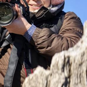 ����: ��������