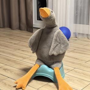 ����: 