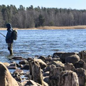 ����: ������