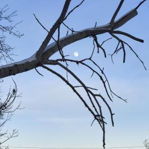 ����: ������ ����.