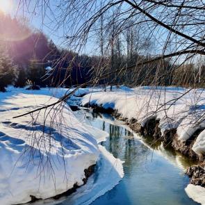 ���� ��������: ������