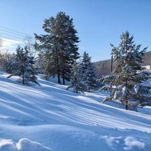 ���� ��������: �����, �����