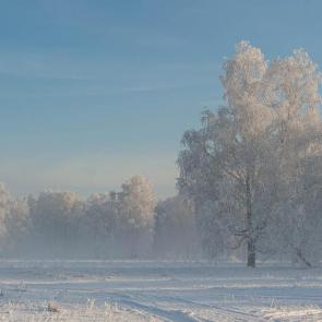 ���� ��������: �������� �����.