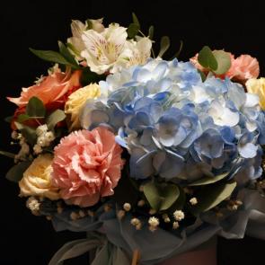 ����: ����� ����