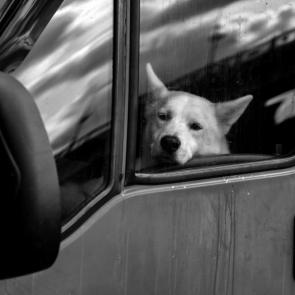 ����: ������� ��� �������