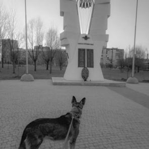 ����: �������� � ����