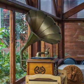 ���� ��������: �����