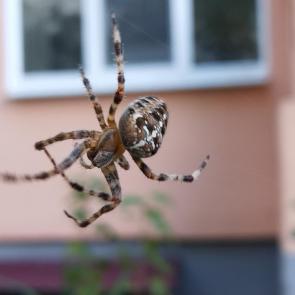 ����: � � ��� �� �����