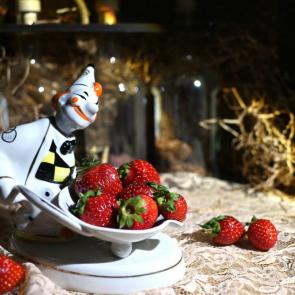 ���� ��������: ������� ����������