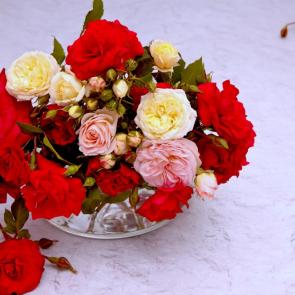 ���� ��������: 