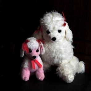 ���� ��������: 