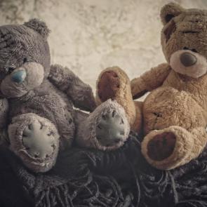 ����: ������