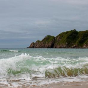 ���� ��������: 