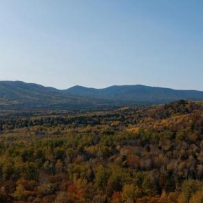 ���� ��������: 