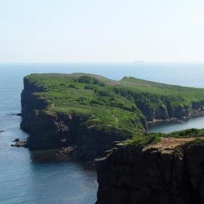 ���� ��������: 