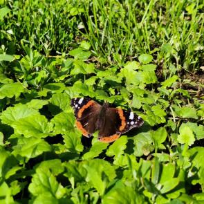 ����: ��������� ����� 