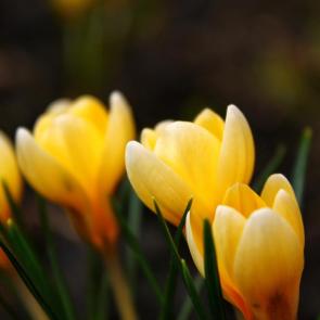 ����: �������� ����� 