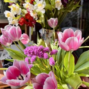 ����: ������� �����