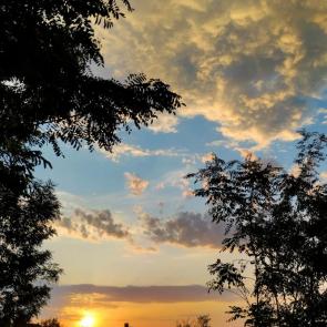 ���� ��������: ����� ��������� ����