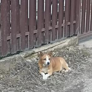 ����: �������� �������