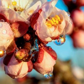 ����: ����� � ������