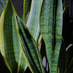 ����: � ����� ������