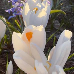 ����: �� ������ 