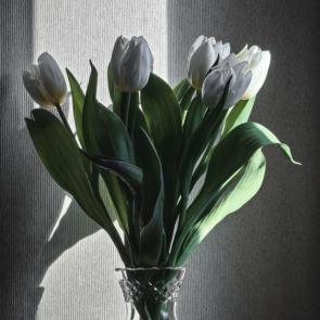 ����: ����� �� ����