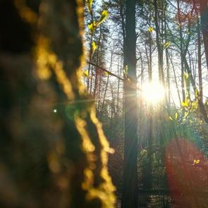 ����: ���� � ����