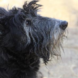 ����: ������ ������ �� �����