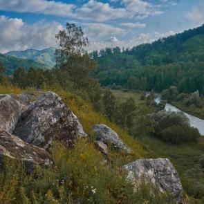 ����: ������ ����